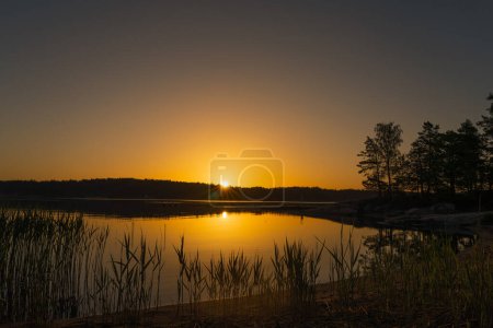 Una puesta de sol de color naranja dorado en el mar con una silueta de una línea de árboles en el horizonte. Naturaleza de Finlandia. Escandinavia. Fondo natural. Espacio para texto.