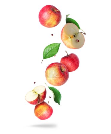 Ganze und in Scheiben geschnittene reife Äpfel mit Blättern in der Luft auf weißem Hintergrund 