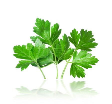 Photo for Fresh parsley petals closeup isolated on white background - Royalty Free Image