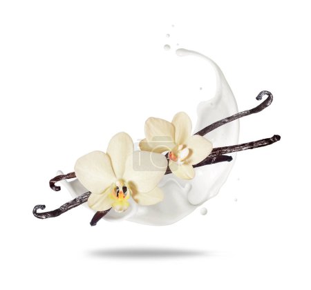 Photo for Dried vanilla sticks with flowers in dairy splashes close up on a white background - Royalty Free Image