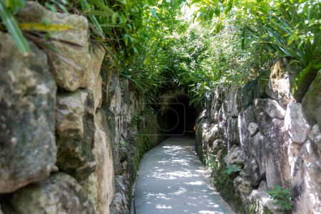 Foto de Sendero y camino a través de una selva tropical con una pared de piedra que conduce a una cueva en el parque Xcaret en la Riviera Maya en México, este es un lugar ideal para ir de vacaciones. - Imagen libre de derechos