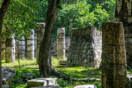 Foto de Las mil columnas del sitio arqueológico de Chichén Itzá, se trata de la civilización maya donde se encuentra la pirámide y el castillo considerado una de las siete maravillas del mundo moderno. - Imagen libre de derechos
