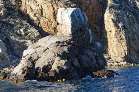 Téléchargez les photos : Le rocher pélican dans la célèbre mer de Cortez sur la côte mexicaine du cap Sainte-Lucie au Mexique, est un îlot au milieu de la baie mexicaine. - en image libre de droit