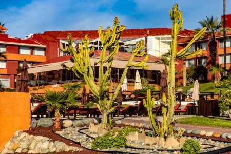 Foto de Hermoso resort en Puerto Nuevo a pocos kilómetros de Rosarito en la Baja California de México, este es un lugar hermoso e ideal para vacaciones bajo un cielo azul y vegetación desértica. - Imagen libre de derechos