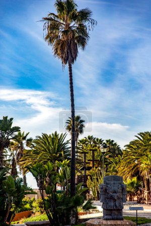 Foto de Palmera grande en un resort en Puerto Nuevo a pocos kilómetros de Rosarito en la Baja California de México, este es un lugar hermoso e ideal para vacaciones bajo un cielo azul. - Imagen libre de derechos