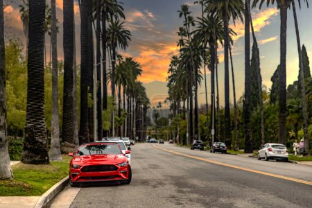 Photo for Vehicle parked on the famous avenue of palm trees in Beverly Hills in Los Angeles in the United States of America, it is a very well-known and busy street. - Royalty Free Image