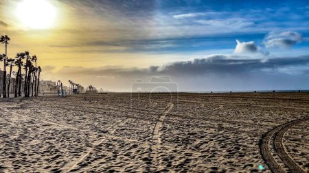 Téléchargez les photos : Palmiers au lever du soleil sur la célèbre et belle plage de Santa Monica en Californie des États-Unis d'Amérique. - en image libre de droit