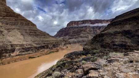 Téléchargez les photos : Photographie du parc national du Grand Canyon, où serpente le grand fleuve Colorado et sa végétation, à la frontière des États de l'Arizona et du Nevada des États-Unis, sous un ciel magnifique. - en image libre de droit