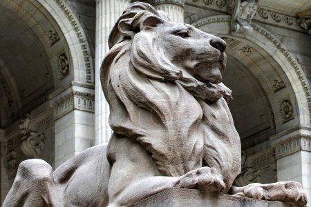 Téléchargez les photos : Sur la droite, nous trouvons le lion Patience, gardant la bibliothèque publique de New York, l'une des plus importantes au monde et avec le plus de contenu en Amérique et dans le monde. - en image libre de droit