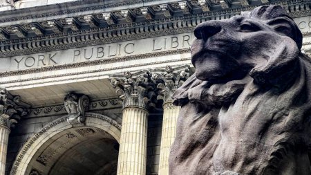 To the right of the entrance we find Fortaleza the lion, guarding the New York Public Library, one of the most important libraries in the world and with the most content in America and the world.