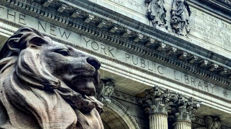 Links vom Eingang steht Patience the lion, der Löwe, der die New York Public Library bewacht, eine der bedeutendsten Bibliotheken der Welt und mit den meisten Inhalten in Amerika und der Welt..