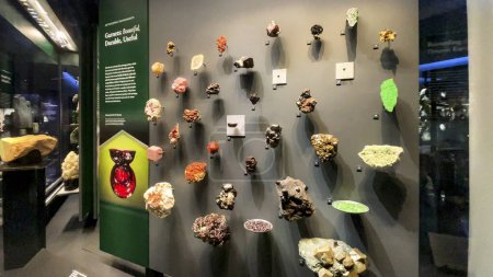 Minéraux, météorites et toutes sortes de restes géologiques et de pierres précieuses dans l'American Museum of Natural History, New York (États-Unis).