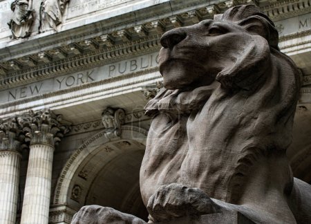 Téléchargez les photos : New York, États-Unis ; 4 juin 2023 : Forteresse l'un des lions de marbre gardant la bibliothèque de New York, qui contient une richesse de livres et a servi de cadre pour des films. - en image libre de droit