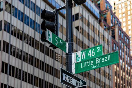 Señales de las calles de Nueva York y Quinta Avenida, en un semáforo en Manhattan, Nueva York (Estados Unidos)).