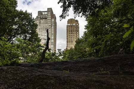 El rascacielos de Nueva York (Estados Unidos), visto desde Central Park, un parque urbano público ubicado en el distrito metropolitano de Manhattan, en la Gran Manzana de los Estados Unidos de América.