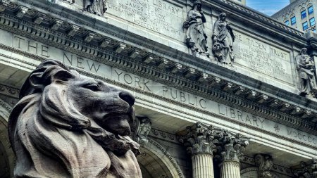 Téléchargez les photos : New York, États-Unis ; 26 janvier 2024 : À gauche de l'entrée se trouve Patience le lion, qui garde la bibliothèque publique de New York, l'une des bibliothèques les plus importantes au monde.. - en image libre de droit