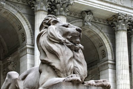 A lion at the entrance and guarding the public library of New York is one of the most important in the world and with more content of America and the world.