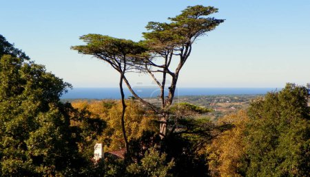 Portugal, Sintra, Quinta da Regaleira, Torre da Regaleira, horizon and ocean view