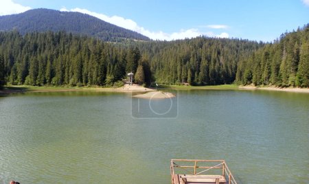 Photo for Ukraine, Transcarpathia, Synevir lake, lake and mountain forest landscape - Royalty Free Image