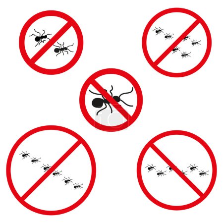 Prohibition signs against ants. Pest control symbols. No insect allowed warnings. Vector illustration. EPS 10. Stock image.