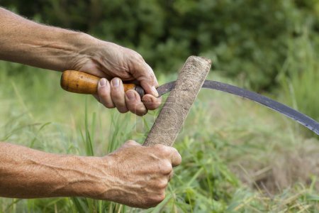 Foto de Afilado de hoz. Un hombre afila una hoz con una piedra de afilar para cortar hierba. - Imagen libre de derechos