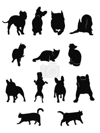 Ilustración de Establecer siluetas de perros y gatos en diferentes posiciones. Pitbull, American Staffordshire Terrier y bulldog francés. Aislado sobre fondo blanco. - Imagen libre de derechos