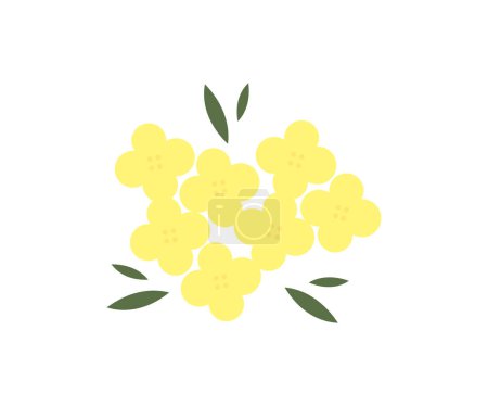 Téléchargez les illustrations : Fresh canola flowers of  rapeseed flowers on a white isolated background logo design.  Rape (Brassica napus, rapeseed, oil seed, canola). Natural yellow floral vector design and illustration. - en licence libre de droit