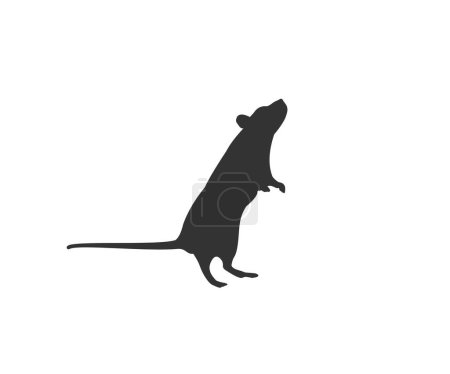 Rat silhouette isolated icon. Vector illustration.
