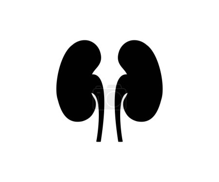 Kidney icon. Silhouette with internal organs vector design and illustration. 