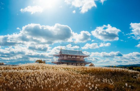 Téléchargez les photos : Vue panoramique du site du palais Heijo Parc historique avec fond bleu ciel. Site du palais de Nara - en image libre de droit