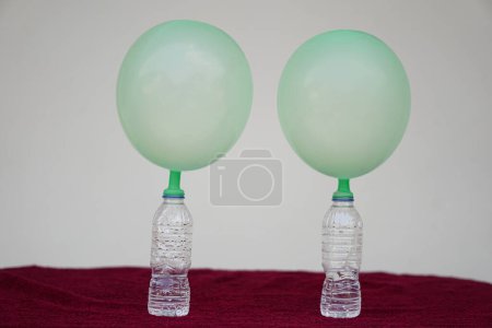 Téléchargez les photos : Ballons gonflés verts sur des bouteilles d'essai transparentes. Concept, expérience scientifique sur la réaction de la substance chimique, du vinaigre et du bicarbonate de soude qui causent le gonflement du ballon. Dernière étape de l'expérience - en image libre de droit