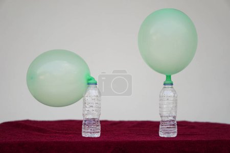 Téléchargez les photos : Ballons gonflés verts sur des bouteilles d'essai transparentes. Concept, expérience scientifique sur la réaction de la substance chimique, du vinaigre et du bicarbonate de soude qui causent le gonflement du ballon. Dernière étape de l'expérience - en image libre de droit