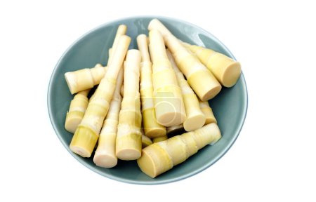 Gekochte Bambussprossen auf Teller, isoliert auf weißem Hintergrund. Lokale thailändische Küche. Fertig zum Essen oder Kochen für verschiedene leckere Menüs, aber mit hohem Harnsäuregehalt, nicht für Gichtpatienten geeignet. Nahrung aus dem Wald.