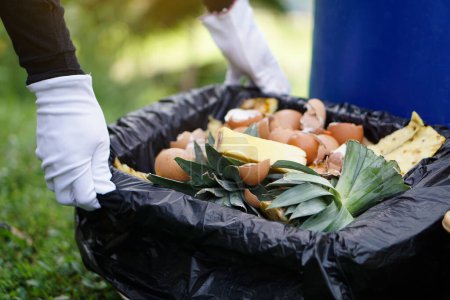 Closeup gardener hands hold basket of food scrape for making compost. Concept, kitchen waste management, making compost from organic garbage. Environment conservation. Home composting                 