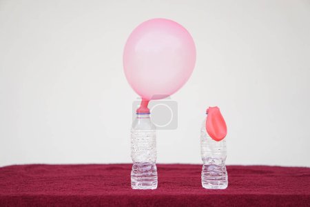 Foto de Experimento científico, globos inflados de color rosa y globo plano encima de botellas de prueba transparentes. Concepto, experimento científico sobre la reacción de sustancias químicas, vinagre y bicarbonato de sodio. - Imagen libre de derechos