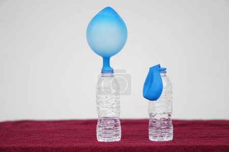 Science experiment , pink inflated balloons and flat balloon on top of transparent test bottles.Concept, science experiment about reaction of chemical substance, vinegar and baking soda.     