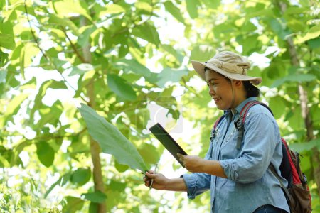 Téléchargez les photos : Femme botaniste asiatique est à la forêt, tenir tablette intelligente pour examiner les plantes botaniques dans la forêt. Concept, recherche sur le terrain en extérieur. L'étude de la nature. Écologie et conservation de l'environnement. - en image libre de droit