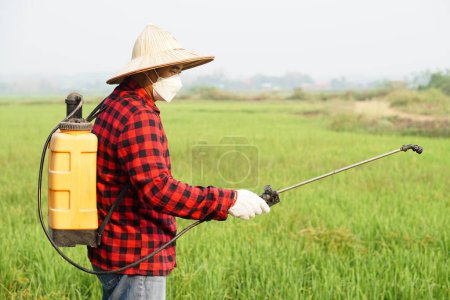Photo for Asian farmer uses herbicides, insecticides chemical spray to get rid of weeds and insects or plant disease in the rice fields. Cause air pollution. Environmental , Agriculture chemicals concept. - Royalty Free Image