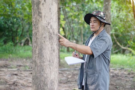 Téléchargez les photos : Un botaniste asiatique inspecte un tronc d'arbre dans une forêt. Concentration sélective sur l'homme à l'analyse et la recherche sur la croissance de l'arbre. Concept, évaluation des forêts. Conservation de l'environnement. - en image libre de droit