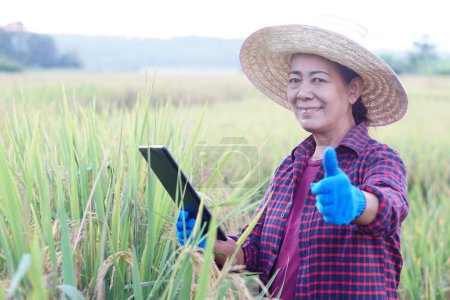Asian woman farmer ia at paddy field, holds smart tablet to inspect rice plants. Concept, Agriculture occupation, learn and apply knowledge from internet to develop crops.      