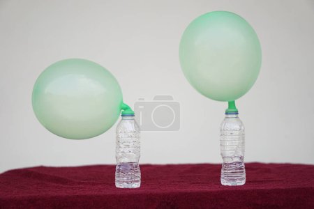 Téléchargez les photos : Ballons gonflés sur des bouteilles d'essai transparentes. Concept, expérience scientifique sur la réaction de la substance chimique, du vinaigre et du bicarbonate de soude qui causent le gonflement du ballon. Dernière étape de l'expérience - en image libre de droit