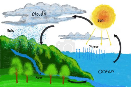 Hand drawn picture with English vocabulary explanation of the water cycle, clouds sun rain forest ground ocean and vapour. Illustration for education. Science subject. Teaching aid.   