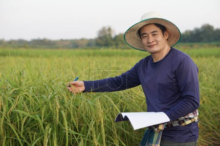 Handsome Asian man farmer is at paddy field, wear hat, blue shirt, holds notebook paper, inspects growth and disease of plants. Concept, Agriculture research and study to develop crops.       