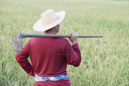 Rückenansicht von asiatischen Mann Bauer tragen eine Hacke auf Schulter auf Reisfeld. Konzept, Landwirtschaft, ökologischer Landbau. Keine Chemikalie. Verwendung traditioneller manueller Werkzeuge anstelle des Einsatzes von Herbiziden. Null Umweltverschmutzung.   