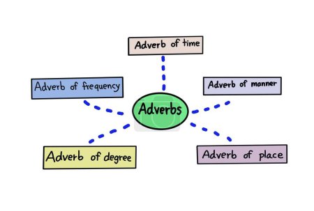 Hand drawn picture of mind mapping Type of Adverbs in colorful circle and rectangle shapes. Illustration for education. Concept, English grammar teaching lesson. Teaching aid.