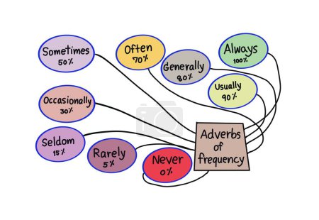 Handgezeichnetes Bild von bunten Kreisen mit Vokabeln über Adverbien der Häufigkeit. Illustration für Bildung. Konzept, Englischunterricht in Grammatik. Lehrmittel.