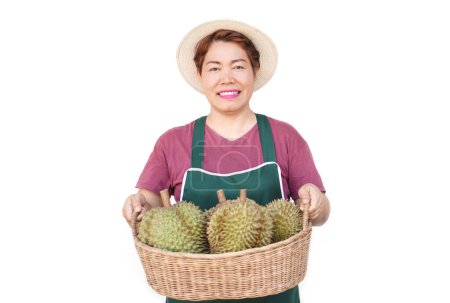 Happy Asian woman wears hat, green apron, holds basket of durian fruits. White background. Concept, fruit seller, gardener occupation. Durians,seasonal fruits and popular                       