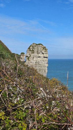 Cliffs, landscape along the Falaise d'Aval, view of the La Manche. Etretat, Normandy, France, English Channel. Natural rocks, coast. Rocks of the village of Etretat in spring in cloudy weather