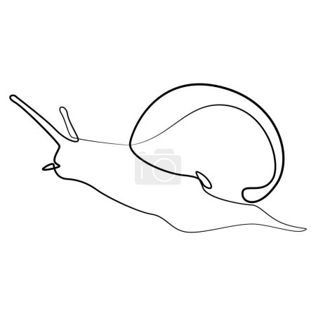 Illustration for Linear drawing of a snail. Vector illustration, minimalism, one line - Royalty Free Image