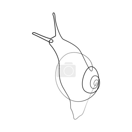 Illustration for Linear drawing of a snail, top view. Vector illustration, minimalism, one line. Snail for tattoo - Royalty Free Image